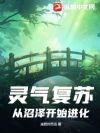 灵气复苏:从沼泽开始进化